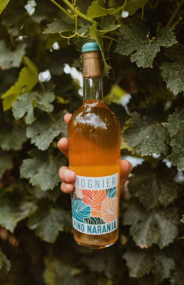 vino-naranja-viognier-scaled-1.jpg